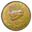 Gold Coin